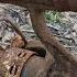 Restoration Rusted And Damaged Japanese Made Fishing Machine