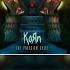 Korn Tell Me What You Want LYRICS VIDEO