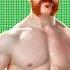 Sheamus New Theme Song 2024 Written In My Face W Hellfire Intro