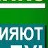 Виктор Куриленко Мысли влияют на судьбу Проповеди для молодежи