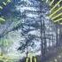 Fade Alan Walker Nhạc Ncs
