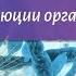 Биология 9 класс Пасечник 28 Учение об эволюции органического мира