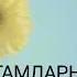 Мехрибонларим
