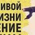 Рецепт счастливой семейной жизни и наставление молодоженам Шейх Сулейман ар Рухейли