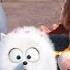 The Secret Life Of Pets 2016 Trailer 4 Universal Pictures