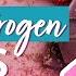 Top 18 Anti Estrogen Foods That Fight Breast Cancer Dr Kristi Funk