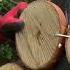 Forest House Bushcraft Building Forest Shelter