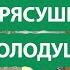 Жир тает лицо расцветает отечность уходит здоровье приходит