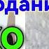 ЗАНРО ДАЬВАТ МЕКУНИ НАМЕОЯД ХОЧИ МИРЗО САВОЛУ ЧАВОБ 05 АВГУСТ 2024