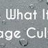 Vintage Culture It Is What It Is Lyrics Ft Elise Legrow