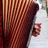 Accordion Hits Beautiful Melodies On The Accordion