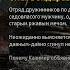 Кремль 2222 Митино Олег Бондарев