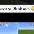 Bedrock VS Java Minecraft Players