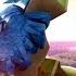 Rio 2 Teaser Poster ScreenSlam
