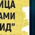 В чем разница между книгами КИТАБ ТАУХИД Ибн Хузеймы и ибн АбдульВаххаба Шейх Салих аль Фаузан