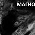 Магнолия