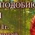 По образу и подобию ч 1 лекция Г С Померанца и З А Миркиной ноябрь 2011г