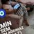 Keyfimize Diyecek Yok