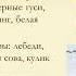Природные зоны России Окружающий мир 4 класс в КитФорс