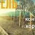 Последний свидетель Фрэнк Краке Аудиокнига