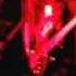 ASTARUS Burn In Hell Bound To Carrion Album