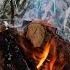 Winter Forest Campfire Ambience Cozy Up With Relaxing Nature Sounds