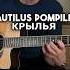 Nautilus Pompilius Крылья Fingerstyle Guitar Cover Nautiluspompilius фингерстайл