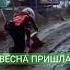 В Грязи по Колено так россияне передвигаются на своих болотах Весна на россию пришла неожиданно