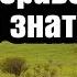 История 5 класс 5 Появление неравенства и знати С ответами