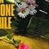 Bill Kirchen Too Much Fun Tombstone Every Mile Full Album