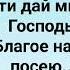 ИЗБРАННИК Я ТВОЙ Слова Музыка Жанна Варламова