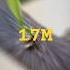 Beyond Grafting Technology 2 Graftingtactick Satisfying Garden Plants Fruits Trees Lime
