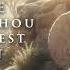 O Savior Thou Who Wearest A Crown Steven Sharp Nelson Sacred Cello Album The Piano Guys