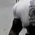 Ronnie Coleman Vintage Powerlifting Ronnie Coleman