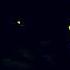 RQ All Preview 2 Classic Sunny Bunnies Deepfakes Non WOMBO Songs In G Major 8