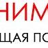 ВНИМАНИЕ ОБЩАЯ ПСИХОЛОГИЯ общаяпсихология