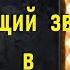 Не отображается входящий звонок в WhatsApp