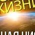 НУЖНО ВСЕМ Чистка от перекрытых дорог избавление от черноты нечисти вампиризма привязок