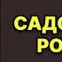 Наталья Андреева Я садовником родился Аудиокнига