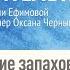 Влияние запахов на работу мозга Оксана Чернышева В Л Ефимова