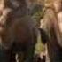 The Science Behind Walking With Dinosaurs