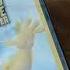 SpongeBob DVD Collection The SpongeBob Movie Sponge Out Of Water