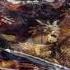 Godzilla 2001 Main Theme Godzilla Mothra And King Ghidorah Giant Monsters All Out Attack