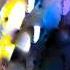 Matt Harris Strange Stuff Luhr Remix