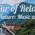 Enchanting Impressions Beautiful Landscapes And Soft Music For Sleep And Relaxation