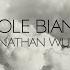 Nuvole Bianche Piano Orchestral Version