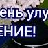 БЕЛАЯ Сирень улучшает ЗРЕНИЕ 2 рецепта для здоровья ГЛАЗ