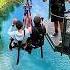 What Sound Does The Letter A Make Bungeejump Funny Adventureexploring Bungeejumping Zipline