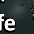 ApparentlyJack Vs Fefe EU Vs NA 1v1 Showdown