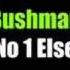 Bushman No 1 Else